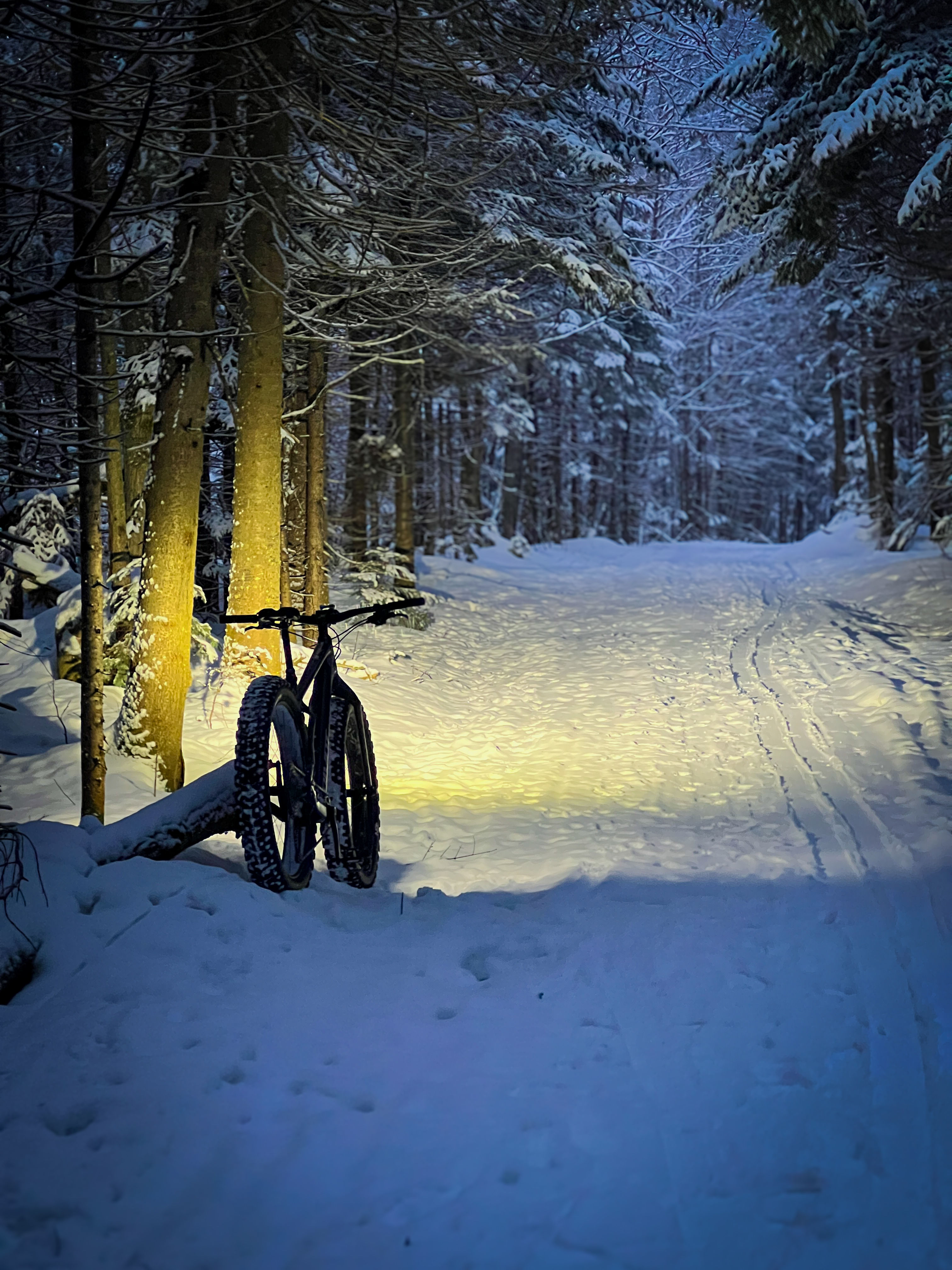 Fatbike sur un sentier enneigé au crépuscule
