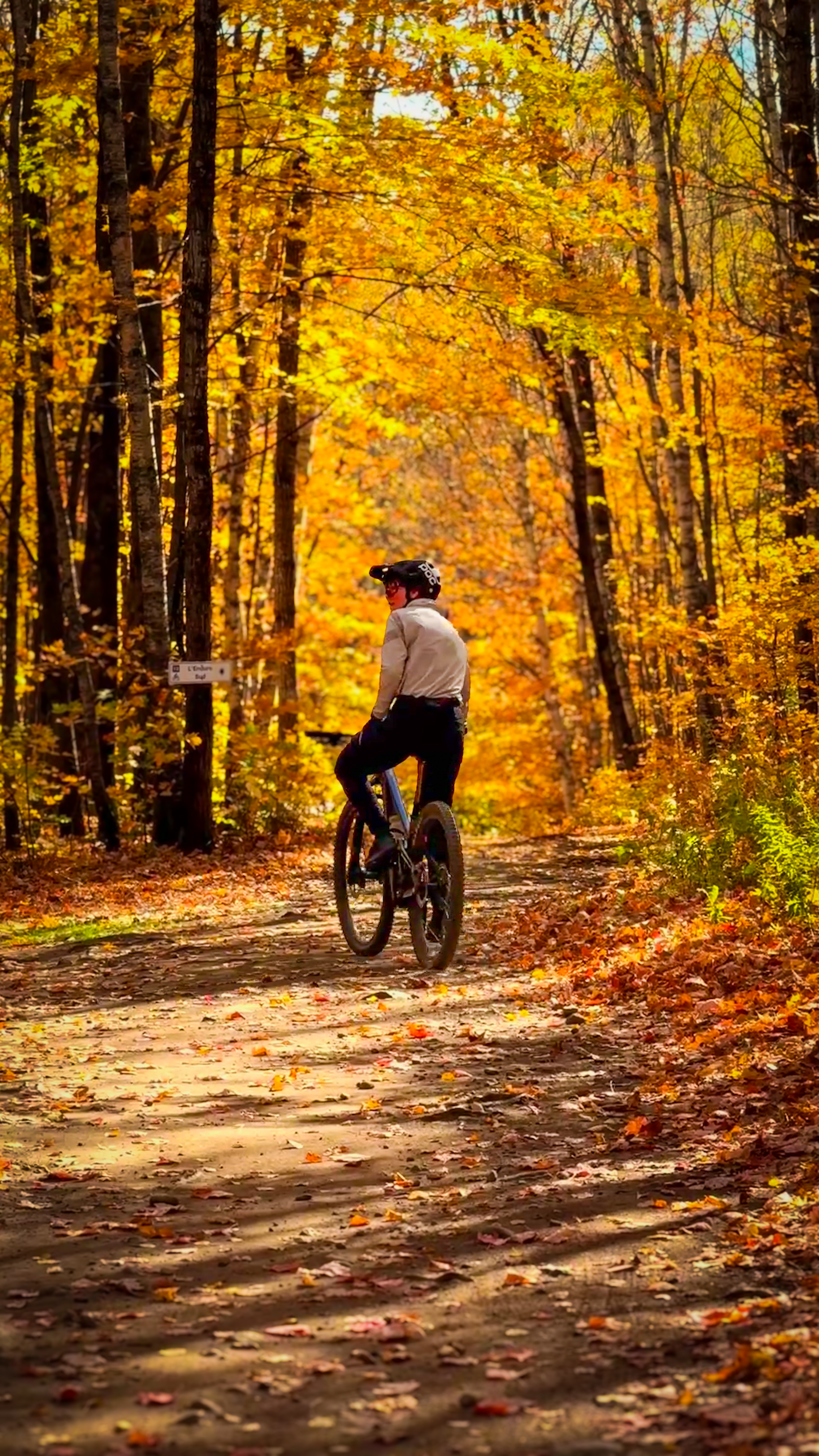 VTT sur un sentier dans une forêt d'automne